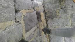 acastle
                          108635.jpg